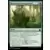 Ravnica Remastered - Renouveau bourgeonnant