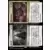 Ravnica Remastered - Revif