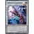 L\'Infini Interdit INFO - Crevette Zappeuse