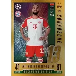 Eric Maxim Choupo-Moting