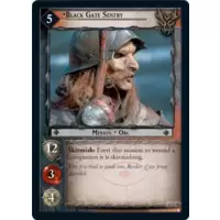 Black Gate Sentry