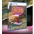 PS5 Games - Arzette: The Jewel of Faramore