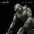 Autres Figurines WETA Workshop - Master Chief and Flood