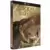 Blu-ray Steelbook - Gods of Egypt - Édition Limitée SteelBook - Blu-ray [Combo Blu-ray 3D + Blu-ray - Édition boîtier SteelBook]