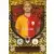 Match Attax Extra: UEFA Champions League 2023/24 - Mauro Icardi