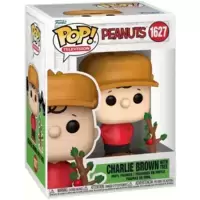 Peanuts - Charlie Brown With Tree