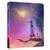 Wish-Asha et la Bonne étoile [Édition SteelBook limitée]
