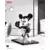 Steamboat willie - Crash