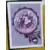 Clawdeen Wolf - Monster High - Clawdeen Wolf