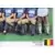 TEAM BRUGES BRUGGE