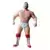 Major Bendies - Arn Anderson
