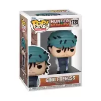 Hunter X Hunter - Ging Freecss