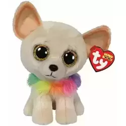 Chewey le Chien Chihuahua