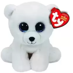 Arctic L'ours Polaire