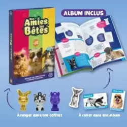 ALBUM + BOITIER COLLECTOR POUR FIGURINES