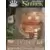 Funko Minis - Shrek - Gingerbread Man