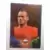 Wesley Sneijder