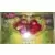 Fruit surprise cerise