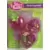 Polly Pocket (1999 - 2003) - Fraise surprise