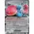 Couronne Stellaire - SCRFR - Ferdeter EX