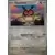 Couronne Stellaire - SCRFR - [COPY] Hoothoot Reverse