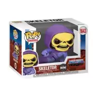 Masters of the Universe - Skeletor