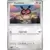 Hoothoot