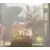 Jeux Nintendo 2DS / 3DS - Monster Hunter 4