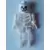 Skeleton - Standard Skull, Floppy Arms, Arms as Legs