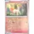 Couronne Stellaire - SCRFR - [COPY] Ponyta Reverse