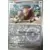Couronne Stellaire - SCRFR - [COPY] Tauros Reverse
