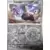 Couronne Stellaire - SCRFR - Vrombi Reverse