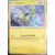 Couronne Stellaire - SCRFR - Zeraora Holographique