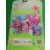 Polly Pocket (2003 – 2006) - Plushious Fashions Polly