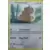 Kangaskhan