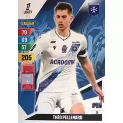Théo Pellenard - AJ Auxerre