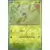 Couronne Stellaire - SCRFR - [COPY] Celebi Reverse
