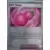 [COPY] Payapa Berry Reverse