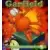 Album Garfield #1