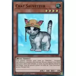 Chat Sauveteur