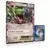 Rayquaza EX - Jumbo