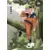 Series SR - Naruto
