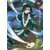 Haku