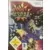 Jeux Nintendo Wii - Blast Works