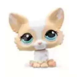 LPS G7-69