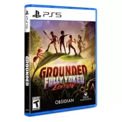 Grounded Fully Yoked Edition