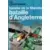 Bataille de la Manche : Bataille d'Angleterre