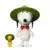ReAction Figures - Peanuts - Beagle Scout Snoopy
