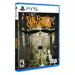 The Forest Cathedral