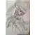 Shantae and the Seven Sirens (Card Pack)
